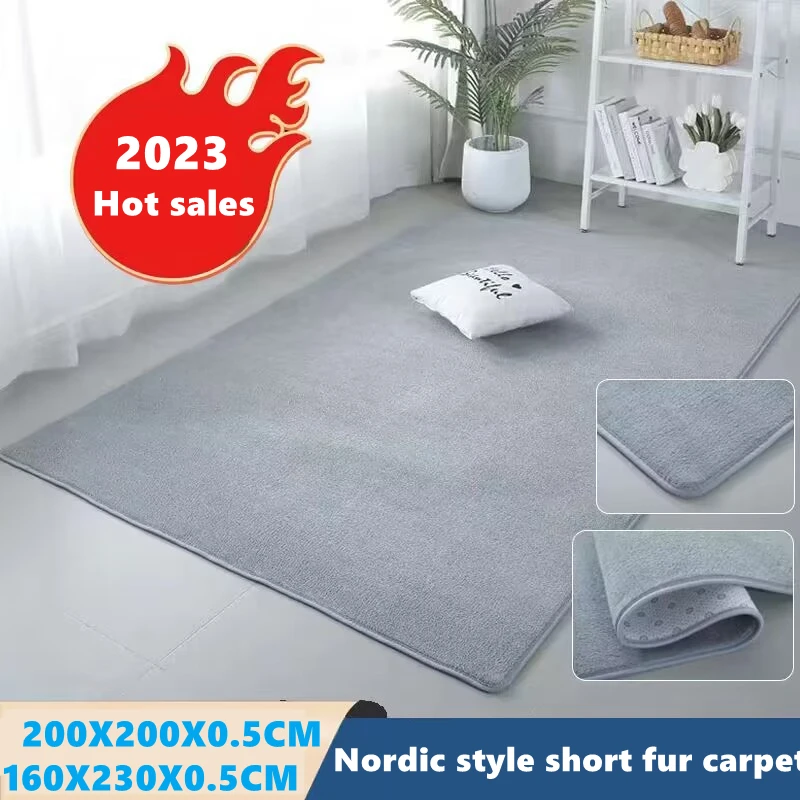 

Nordic Carpet for Living Room Low Pile Rug Children Bed Room Fluffy Floor Carpets Window Bedside Home Decor Coral Fleece Carpet