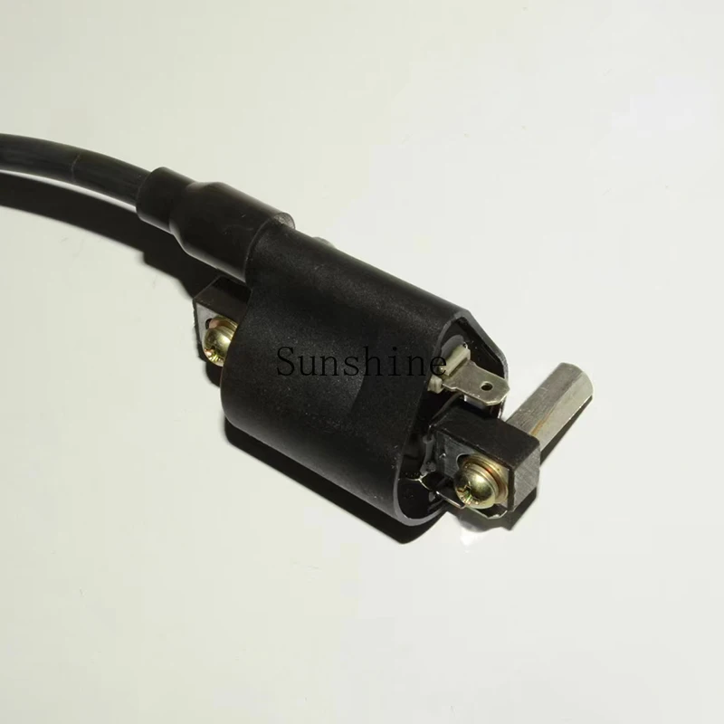 Подходит для Qianjiang Sai 250 Xiaohuanglong 250-15 Cub Xiaojinpeng 251 катушка зажигания высокого