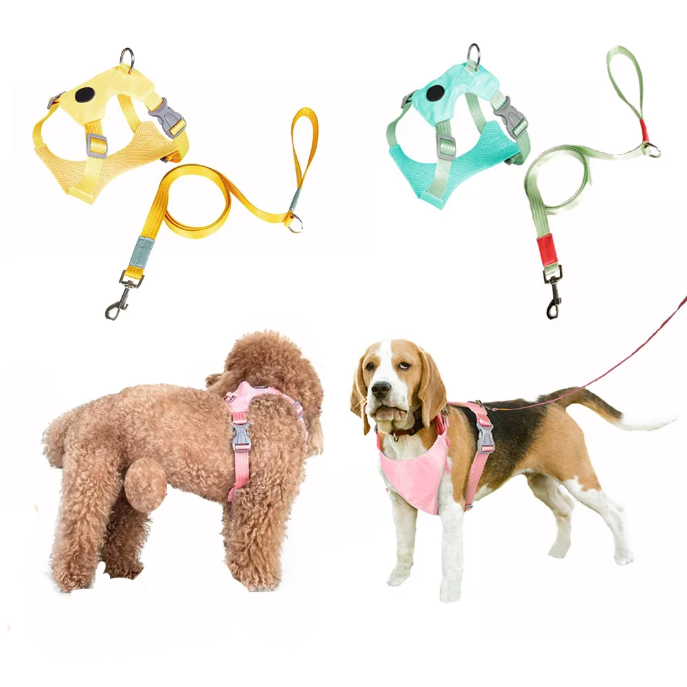 Small Dogs Harness Leash Set Beathable Mesh Pet Dog Vest Harness Leads Light Weight Control Walking Dogs Leashes Chest Vest