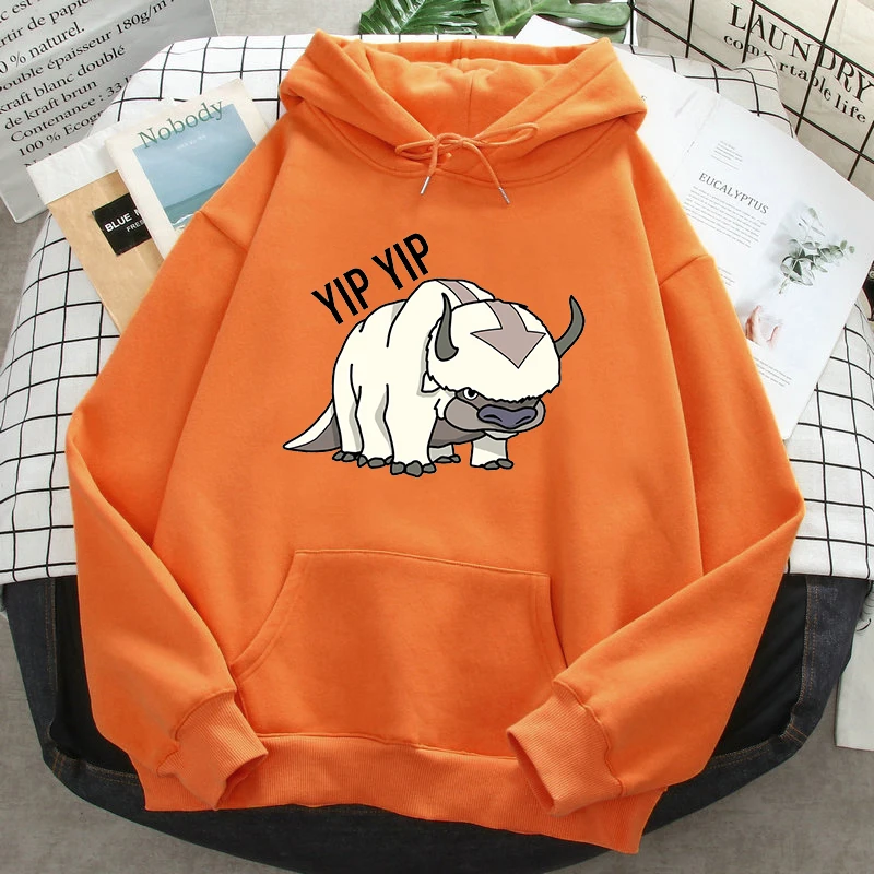 Mens Spring Autumn  Hoodies Avatar The Last Airbender Printed Fashion Pockets Hooded Pullover Male Funny Sweatshirt