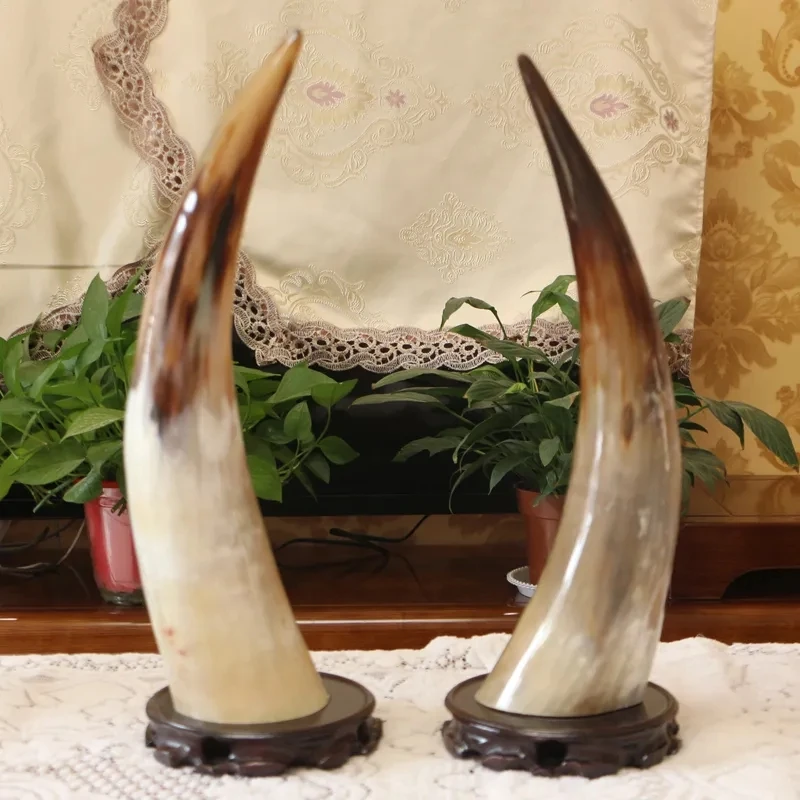 Natural Yak Horn Ornament Pure Handmade Home Art Office Bar Ornament Authentic Ox Horn