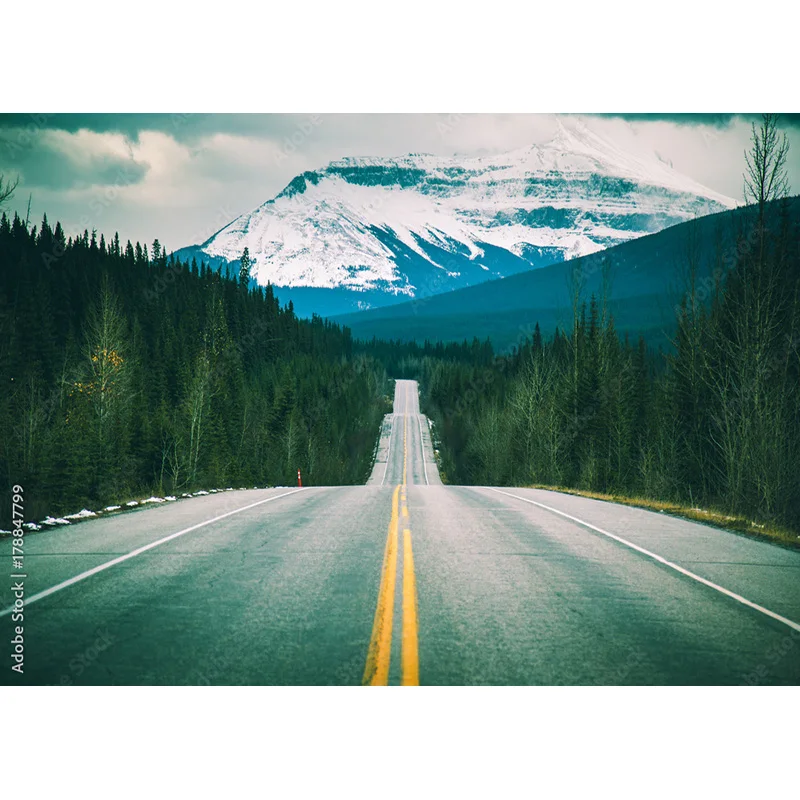 SHENGYONGBAO Highway Nature Scenery Photography Backdrops Travel Landscape Photo Backgrounds Studio Props GLL-04