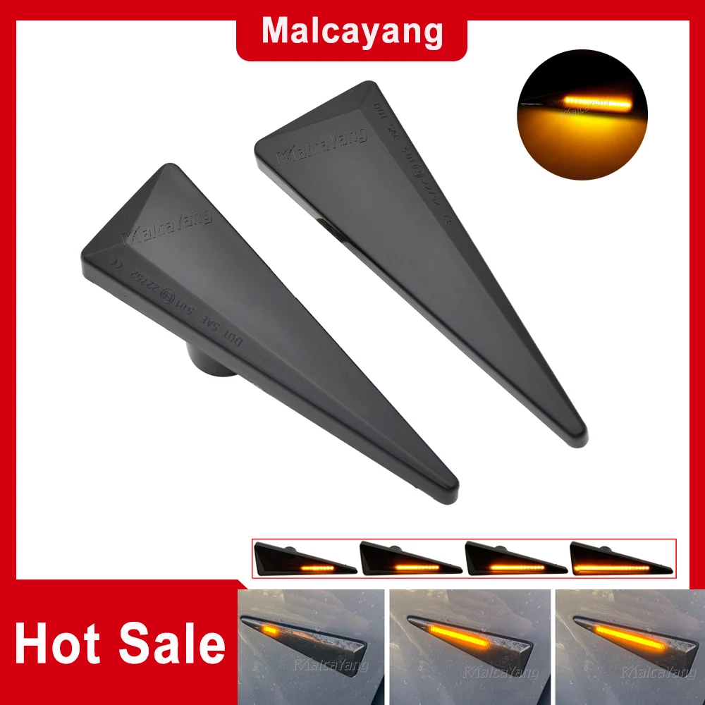 

Turn Signal Lamp Flashing For Renault MK4 Vel Satis Wind Avantime Megane 2 Scenic 2 Espace 4 LED Dynamic Side Marker Light