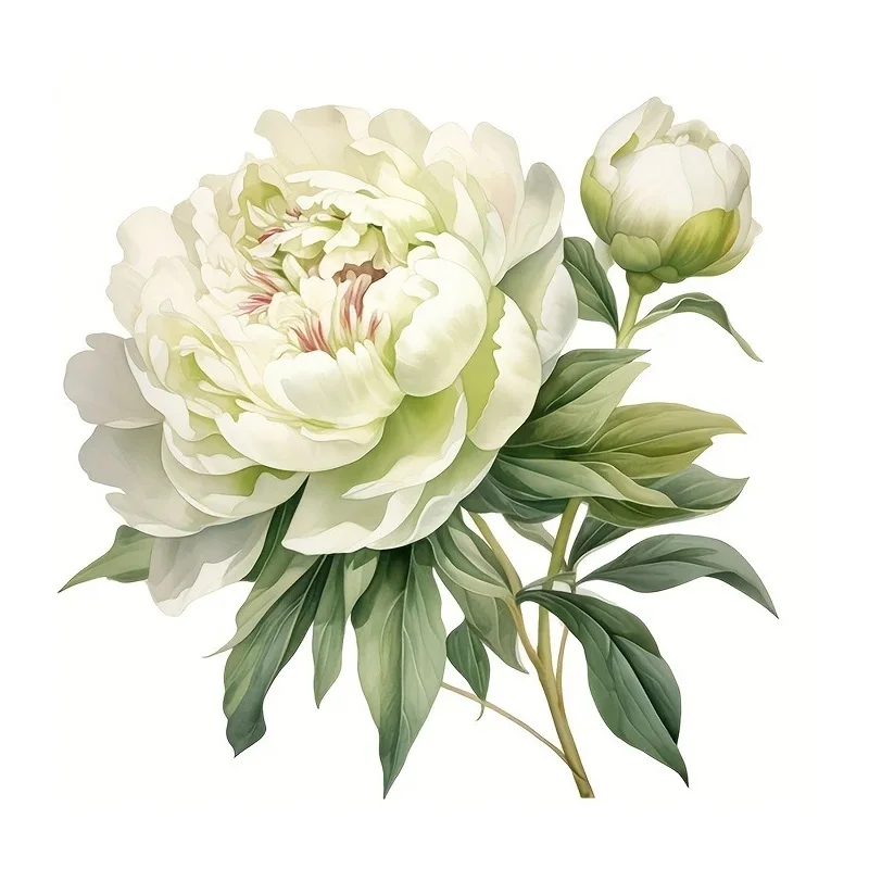 

Настенная наклейка MT1456# с акварельным пионом