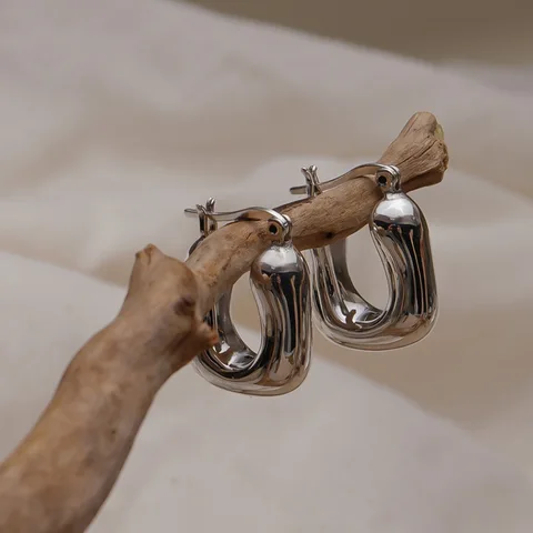 Серебряные серьги-кольца QMCOCO