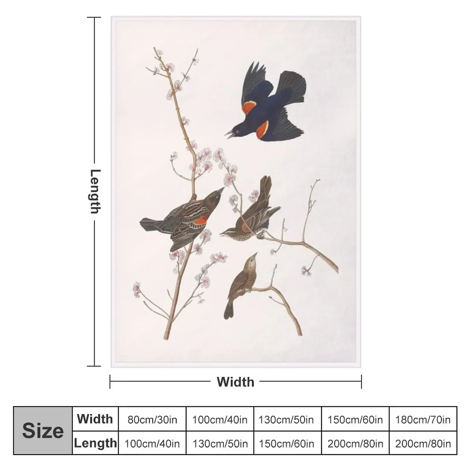 Краснокрылый Черная птица / Винтажные принты и узоры птиц Плед Хэллоуин