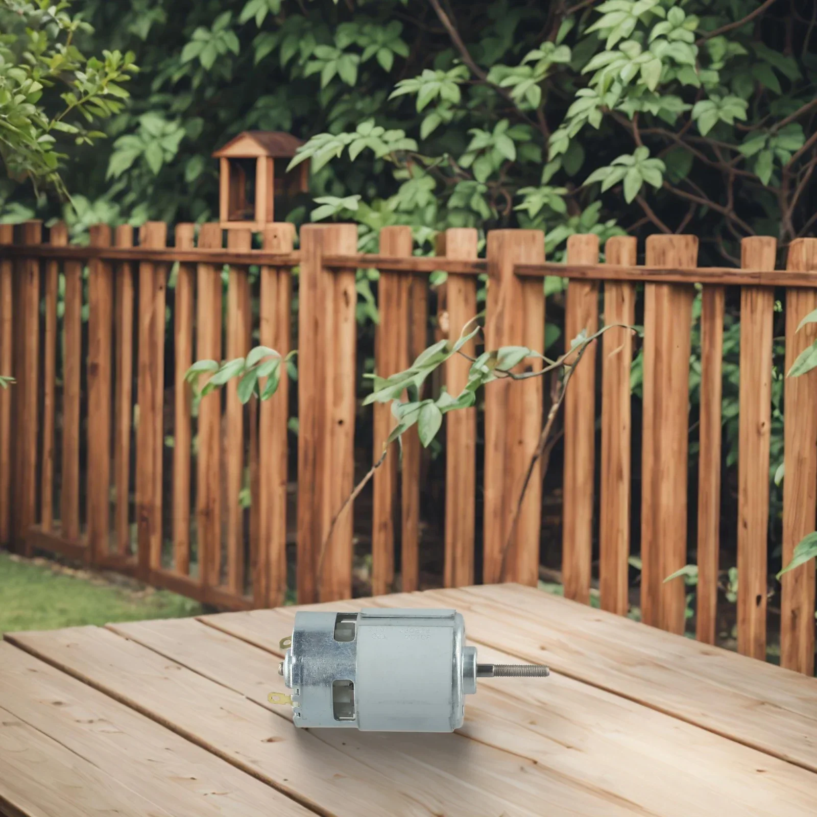 RS755VC двигатель постоянного тока