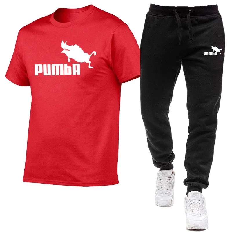 2023 Mens Tracksuit Cotton T-shirts and Sweatpants Gym Short Sleeve Outfits High Quality Male Casual O-Neck Tees Jogging Suit