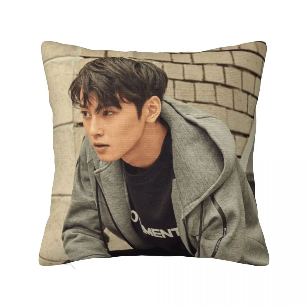 

Клетчатая Подушка Cha Eunwoo, чехол, декоративная подушка в Корейском стиле Idol Group, чехол для спальни, квадратная подушка 40x40 см