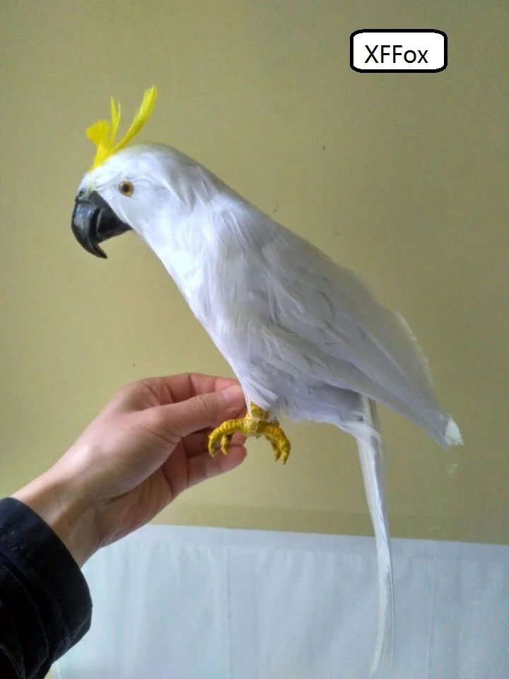 real life white parrot model foam&feather simulation Cockatoo bird gift about 43cm d0245