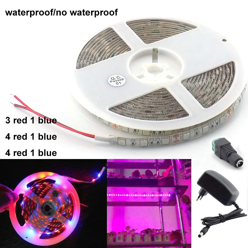 

Led Strip Grow Lights 1M 2M 3M 5M 12V 2A/3A Waterproof Growing Plant Lamp SMD 5050 Red Blue lighting Power Adapter U26