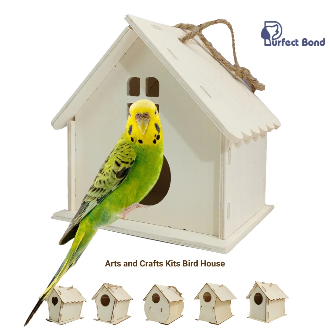 

Good quality Wooden Birdhouses, Unfinished Wood Bird House Arts and Crafts Kits Bird feeder to Paint Kids Bulk Arts and Crafts