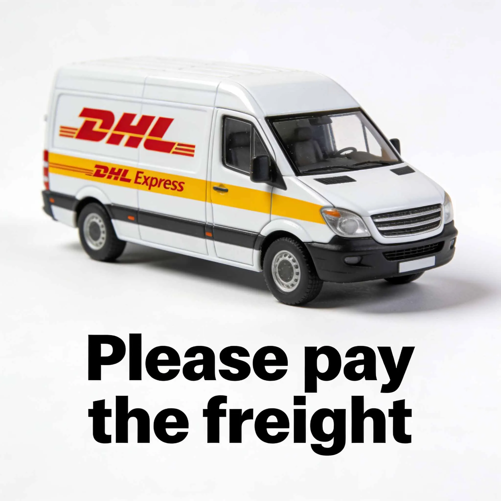 Фото Это ссылка для клиентов, позволяющая им оплатить стоимость доставки DHL или Fedex. №1