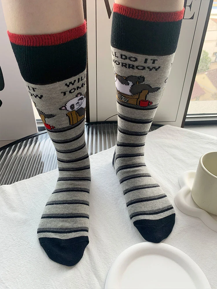 

Носки CHAOZHU женские длинные с рисунком панды, повседневные свободные высокие носки в полоску для учеников Старшей школы, Осень-зима