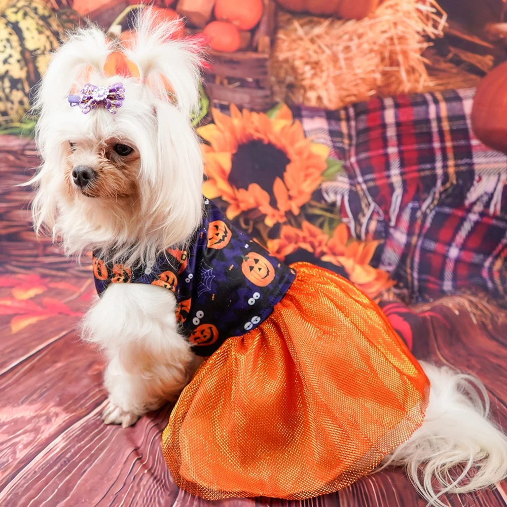 

Смешное блестящее Сетчатое платье для маленьких собак на Хэллоуин, юбка, костюм кошки для косплея, щенка, Тедди, чихуахуа, одежда для собак 2022