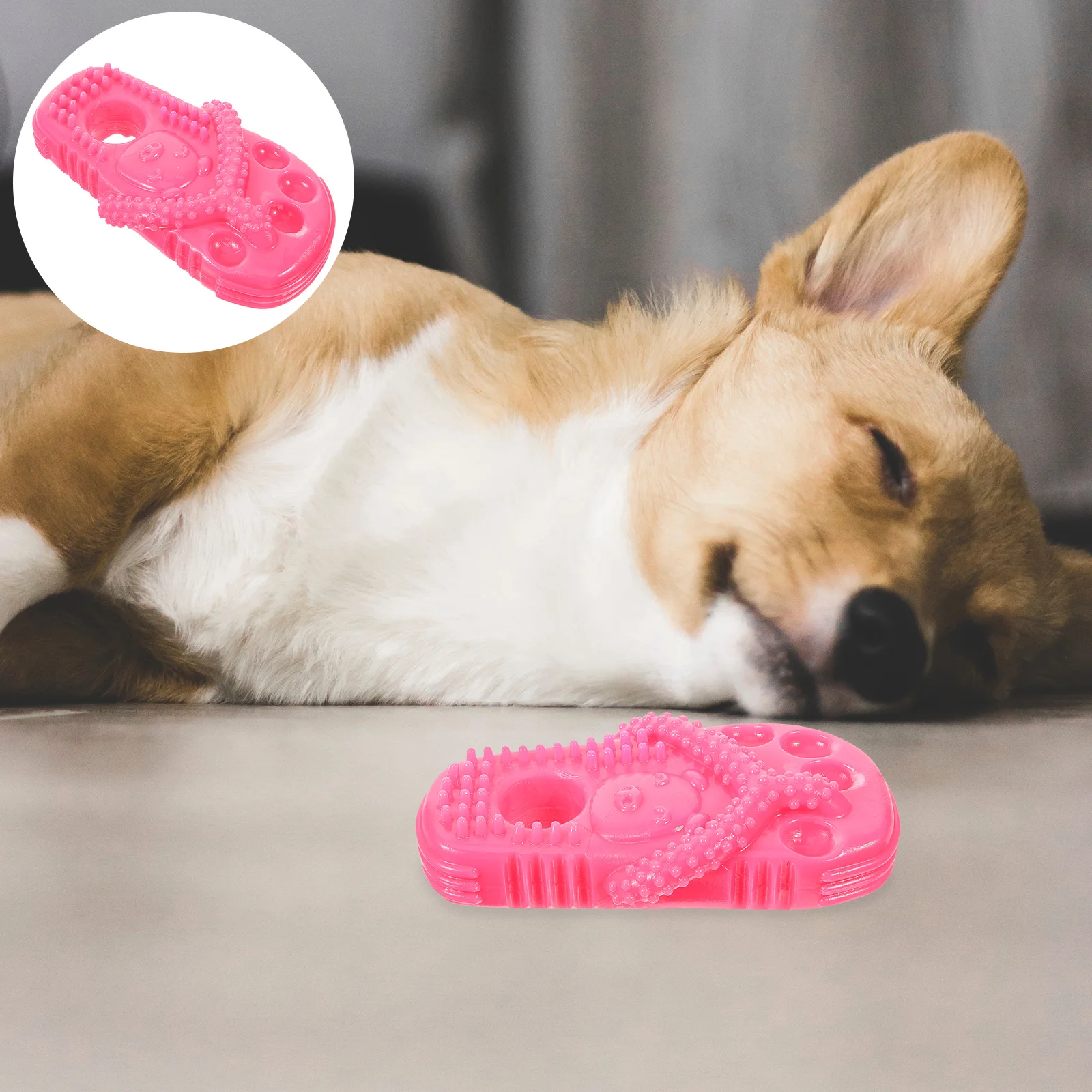 

Dog Chew Toy Slipper Shaped Tough Toy Puppy Toy Training Teeth Cleaning Molar Plaything