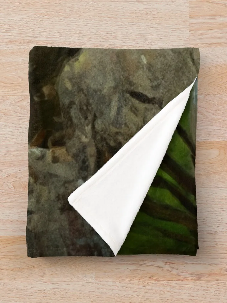 Лето на Descac River at Harpers Ferry - Одеяло с маслом Постельное белье Декоративные одеяла