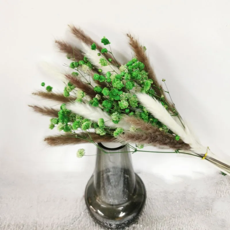 Pampas Natural Fresh сушеная Сохраненная Искусственные цветы Гипсофилы paniculata детский