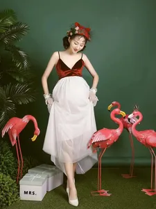 Photo studio new Korean pregnant women fashion exhibition pregnant mother photo skirt photo pregnant women studio photo clothing