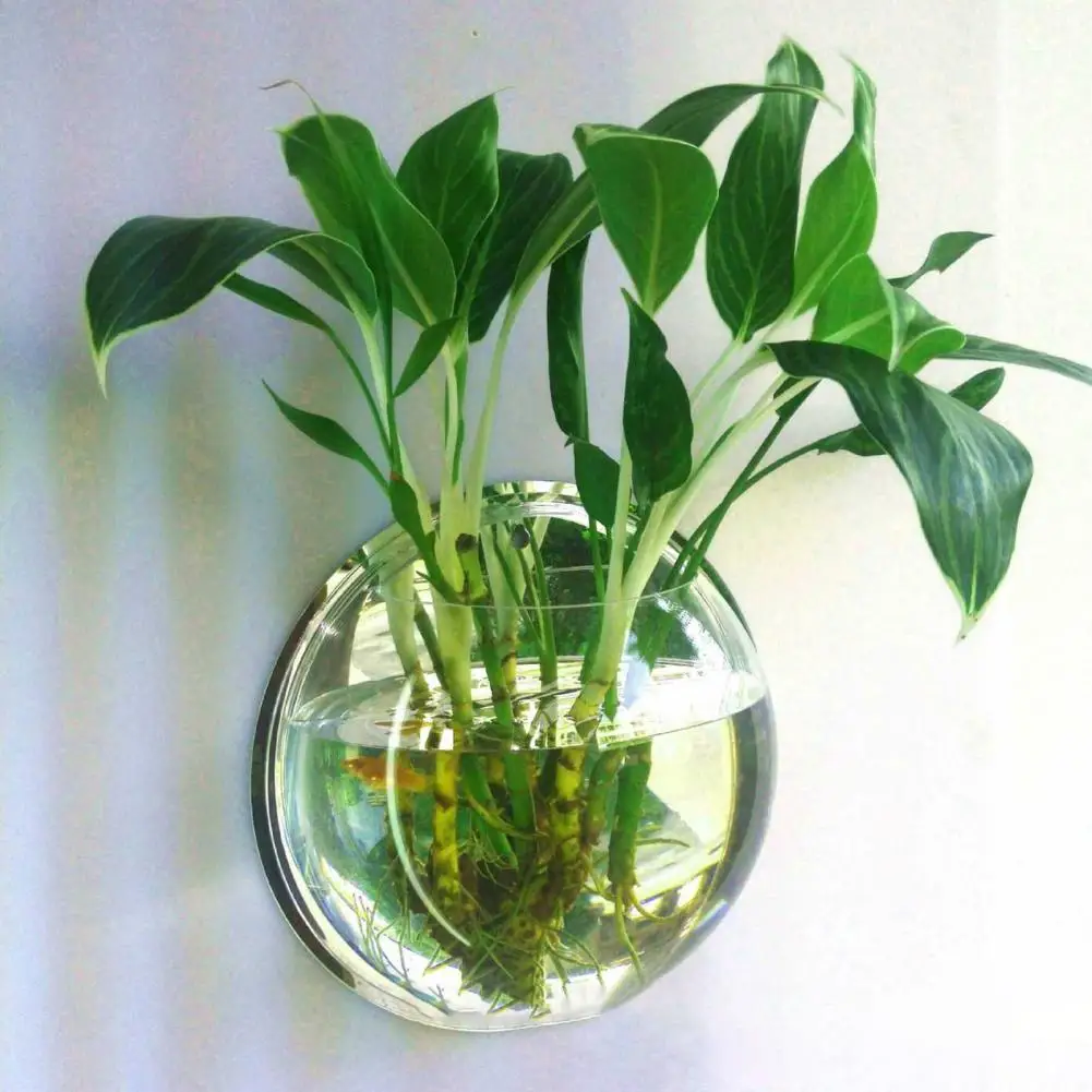 

1 Set Fish Tank Fashion Decorative Universal Wall Creative Plant/Flower Vase Mounted Hanging Flower Vase Home Decor for Househol