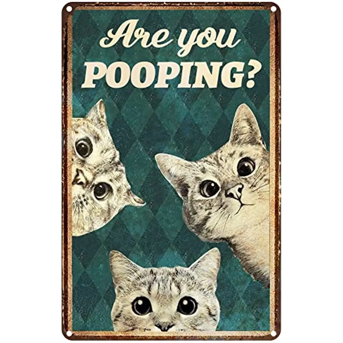 

Новый жестяной Фотофон с рисунком "Кошка ты потрясающая", Настенный декор для ванной комнаты, туалета, Забавный котенок, кошка, кошка, любимый подарок, Забавный