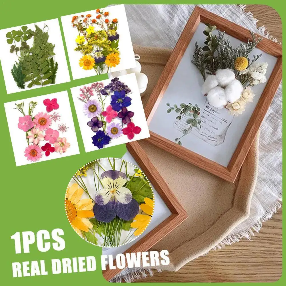 

1 Set Dry Flower Dried Natural Plants DIY Craft Embossing Materials Aromatherapy Accessories Making Home Decoration