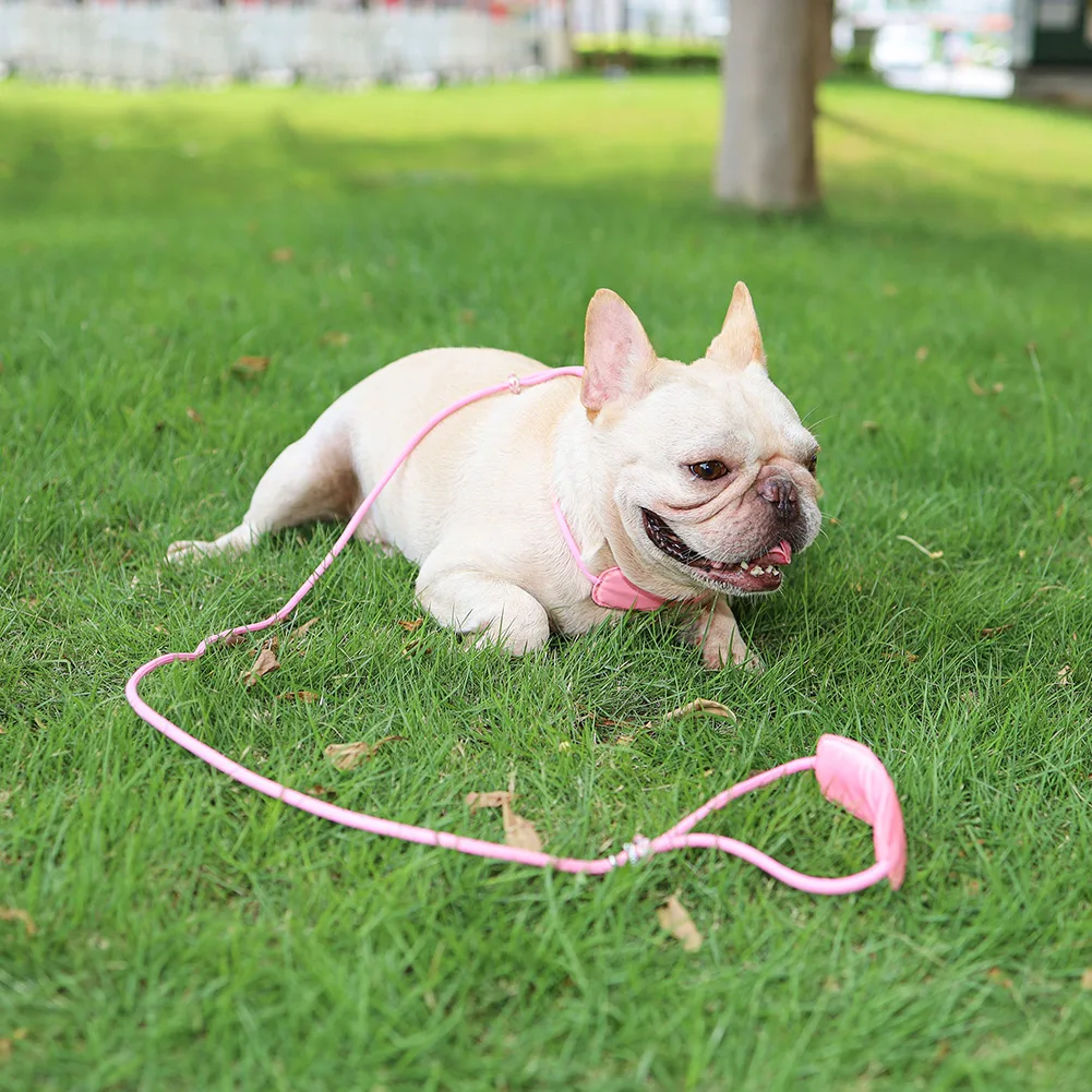 

Pet Dog Nylon Leash Rope Small Medium Dogs Training Traction Collar Strap Integrated Competition Training Rope for Pet