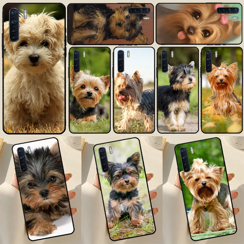 Чехол с изображением щенка йоркширского терьера для OPPO A17 A57 A77 A16 A76 A96 A52 A72 A15 A5 A9 A31