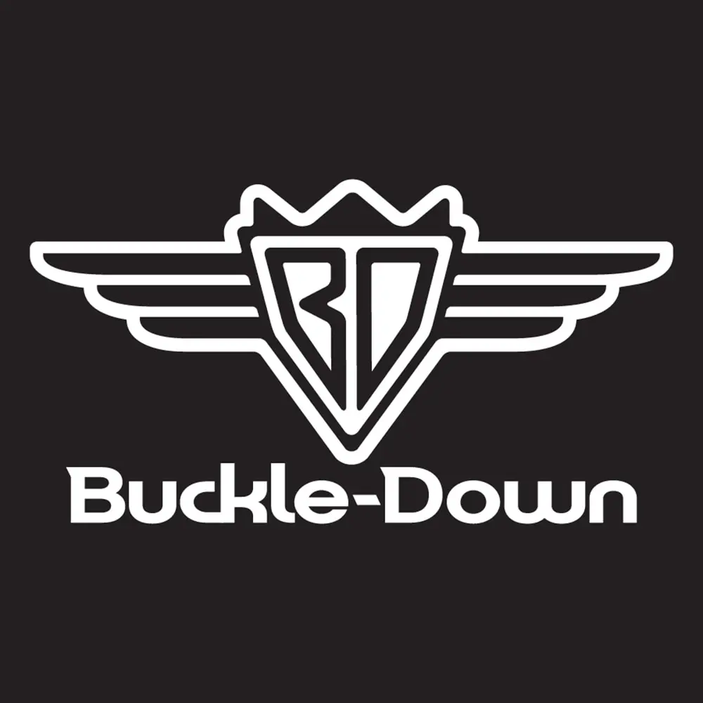 Buckle-Down ошейник для собак с пластиковой застёжкой "Флэш BOOM-KABOOM!" мультицвет
