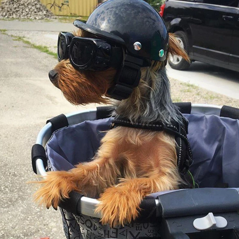 Pet Helmets Dog Cat Bicycle Motorcycle Helmet with Sunglasses Safety Doggie Hat for Traveling Head Protection Pet Supplies S / M