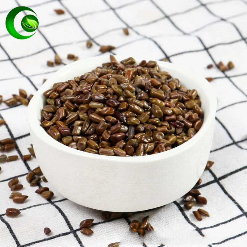 Кассия семена кассии кетсумиши резюме потеря веса порошок цзюэ Минг Цзы |