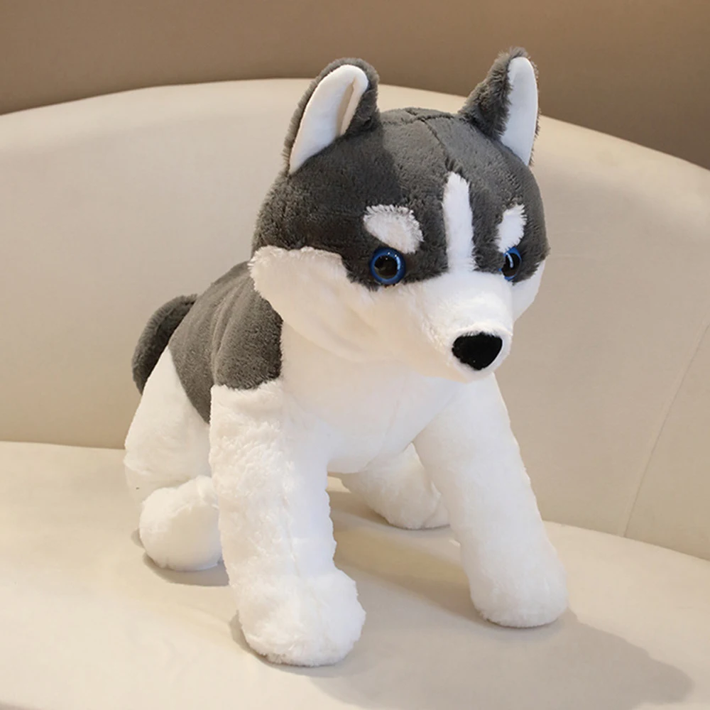 

Cute Husky Dog Doll Stuffed Plush Toy Boy Birthday Gift