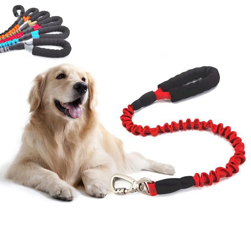 

2022 New Pet Luminous Buffer Leash Elastic Buffer Dog Leash Explosion-Proof Perforated Pet Supplies For Large Dogs Correa Perro