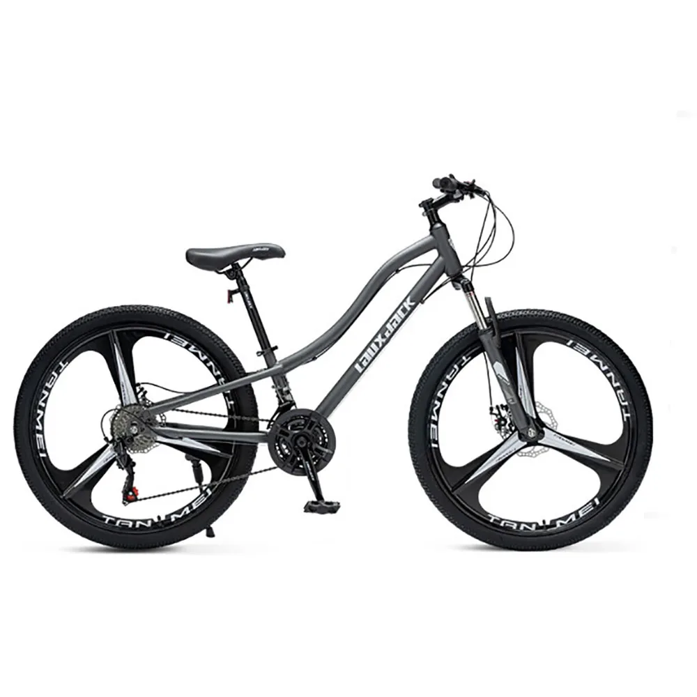 

26 Inch Mountain Bicycle Adult Variable Speed Bike Low Span High Carbon Steel Frame Front And Rear Disc Brake Integrated Wheel