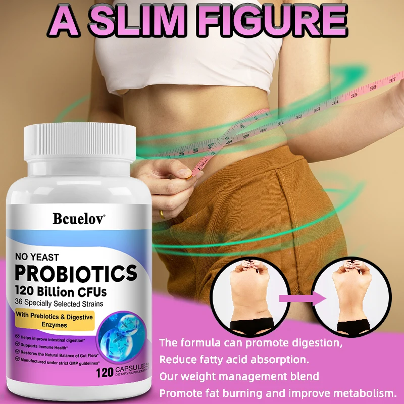 

Probiotic supplements - promote intestinal digestive health + relieve bloating, burn fat and lose weight, improve immunity