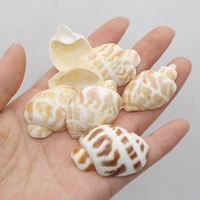 100g diy shell beads rainbow snail shell bead without hole bathtub landscaping for jewelry making diy clothes accessory