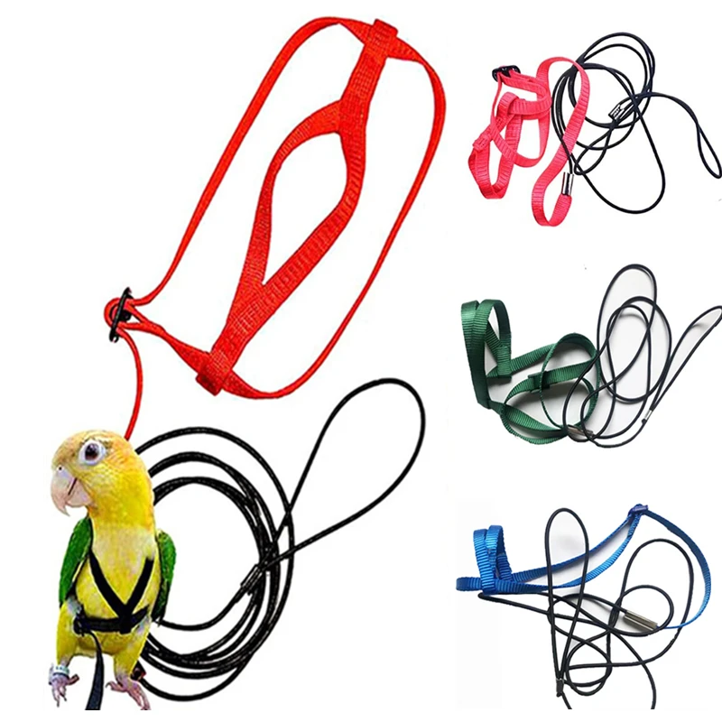 Тренировочный Инструмент Для Летающей Буксировочной Веревки Птиц Искусственный