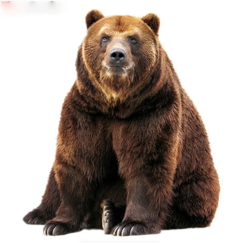 

Виниловая наклейка с изображением коричневого медведя, 17 х15 см