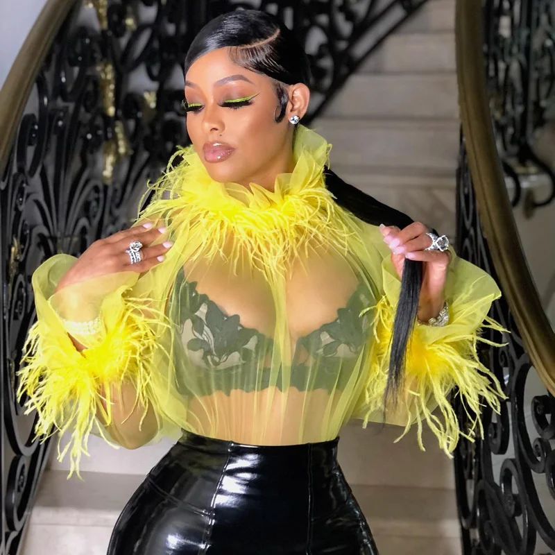 

Women's Blouse New Popular Fashion High Neck Long Sleeve Feather Stitched Close Mesh Perspective Top