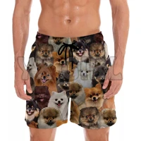 you get a lot of pomeranians shorts 3d all over printed mens shorts quick drying beach shorts summer beach swim trunks