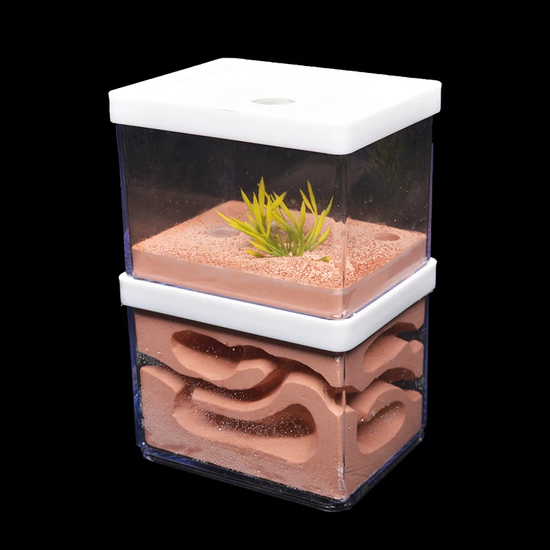 new large plaster ant farm natural ecological big ant nest insect castle workshop pet anthill ant house with feeding area free global shipping