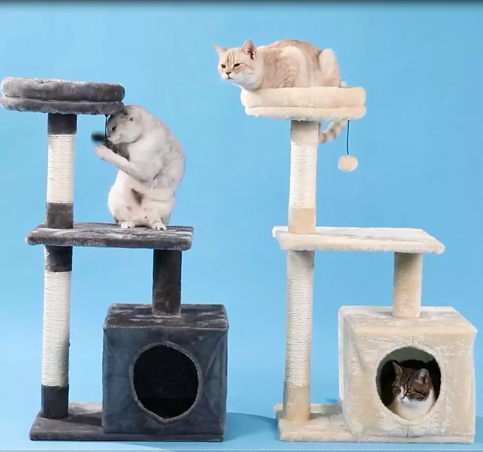Cat Trees for Kittens Cat Furniture Towers with Scratching Posts Double Perches  House Kitty Cat Activity Trees Climb