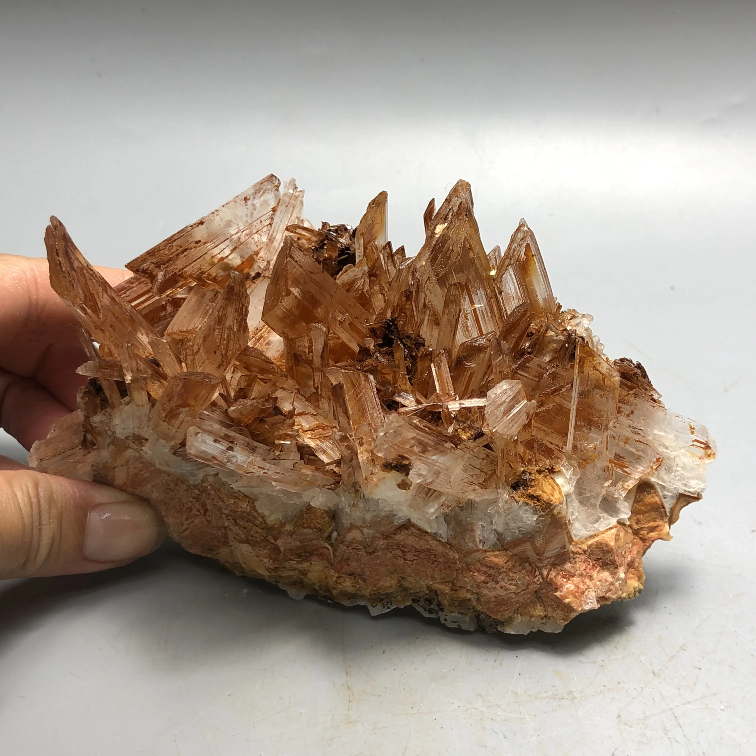 

366gNatural gypsum raw stone crystal mineral geology teaching specimen with stem rock strange stone ornamental stone ornament