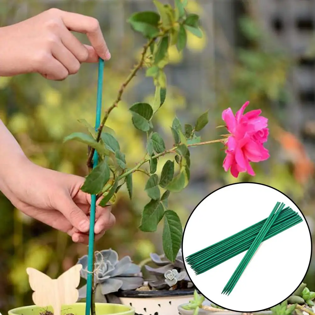 

10Pcs Garden Plant Stake Smooth Finish Multi-Functional Water-Resistant Floral Reusable Green Climbing Plant Support Stick