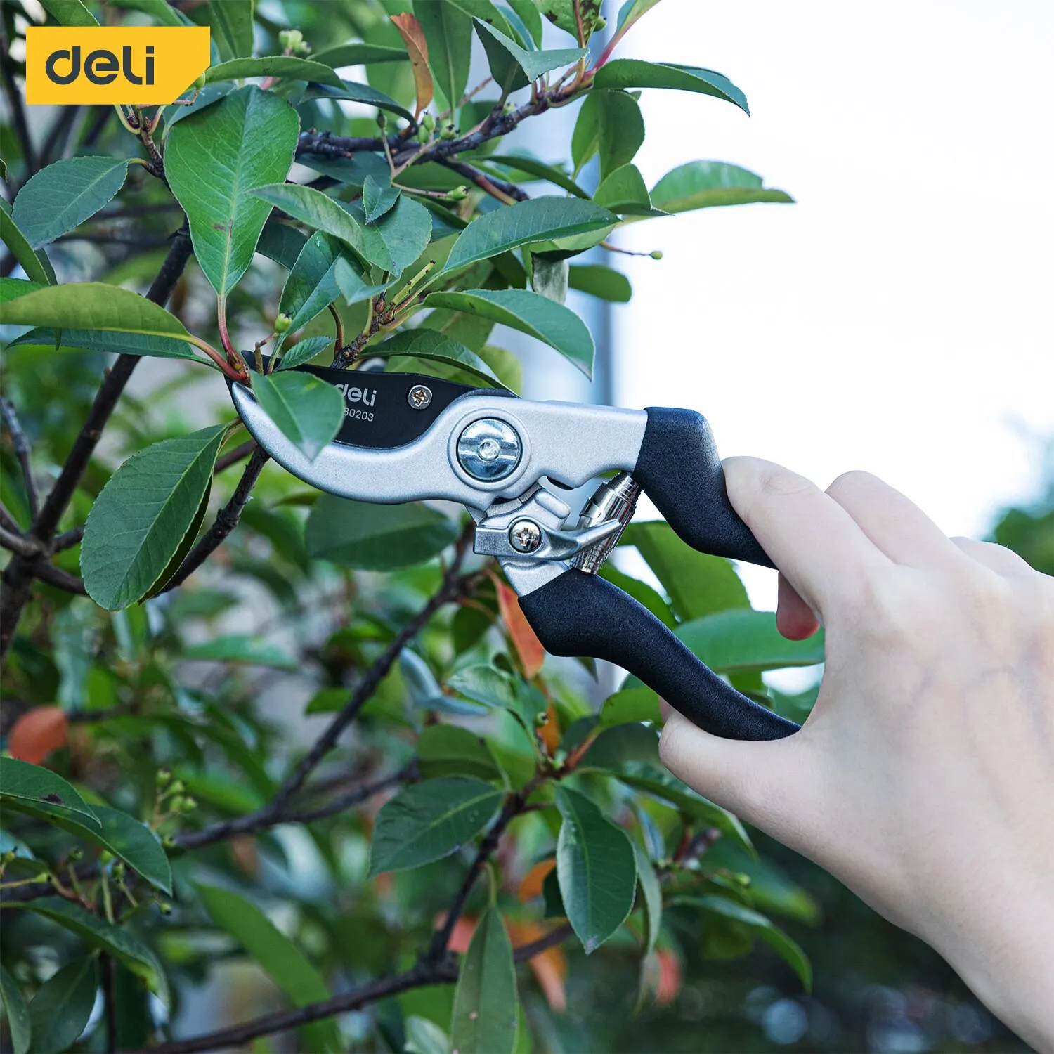 

Deli 8.5 Inch Garden Scissors Professional Sharp Bypass Pruning Shears Tree Trimmers Secateurs Clippers Garden Scissor