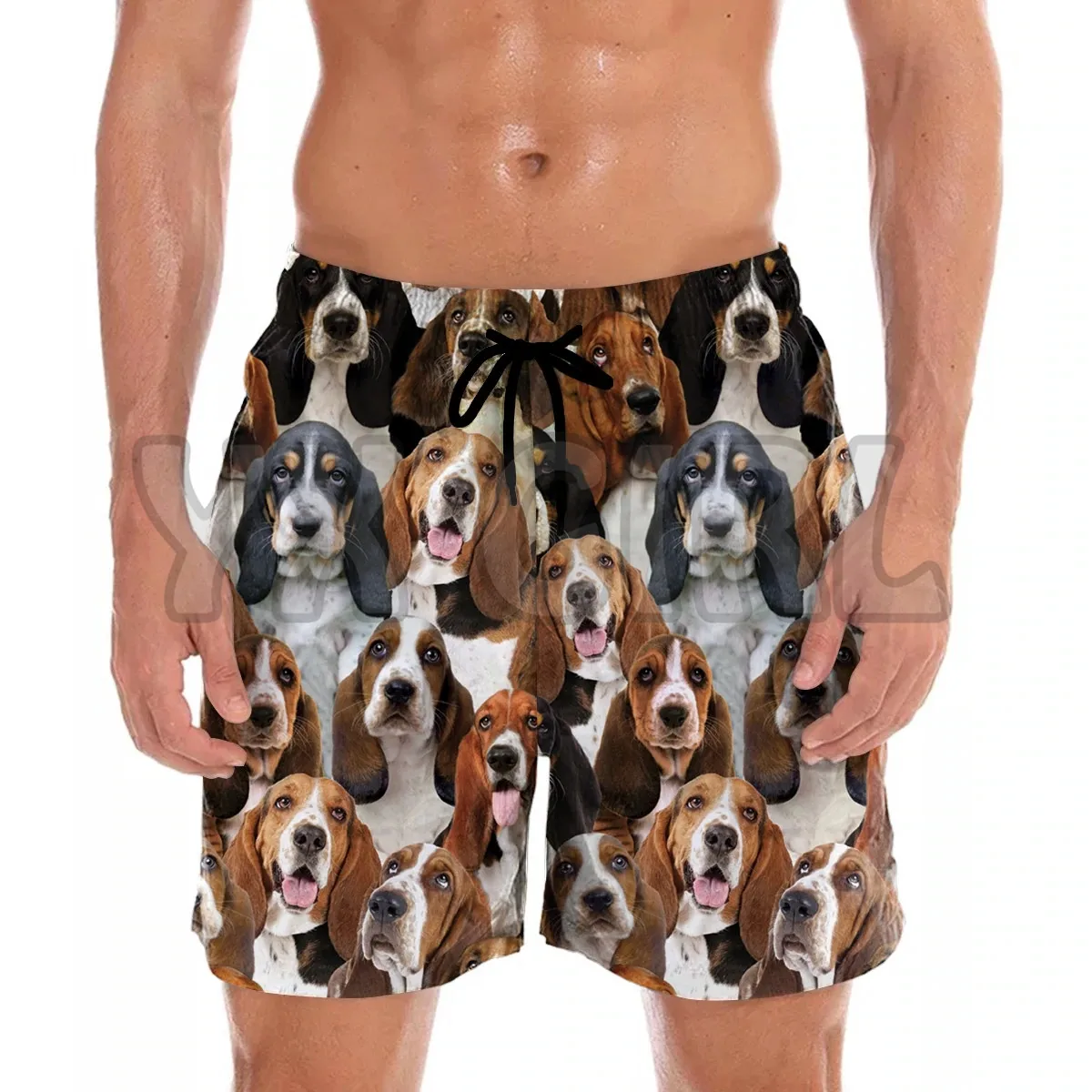 You get a lot of Basset Hounds  Shorts  3D All Over Printed Men's Shorts Quick Drying Beach Shorts Summer Beach Swim Trunks
