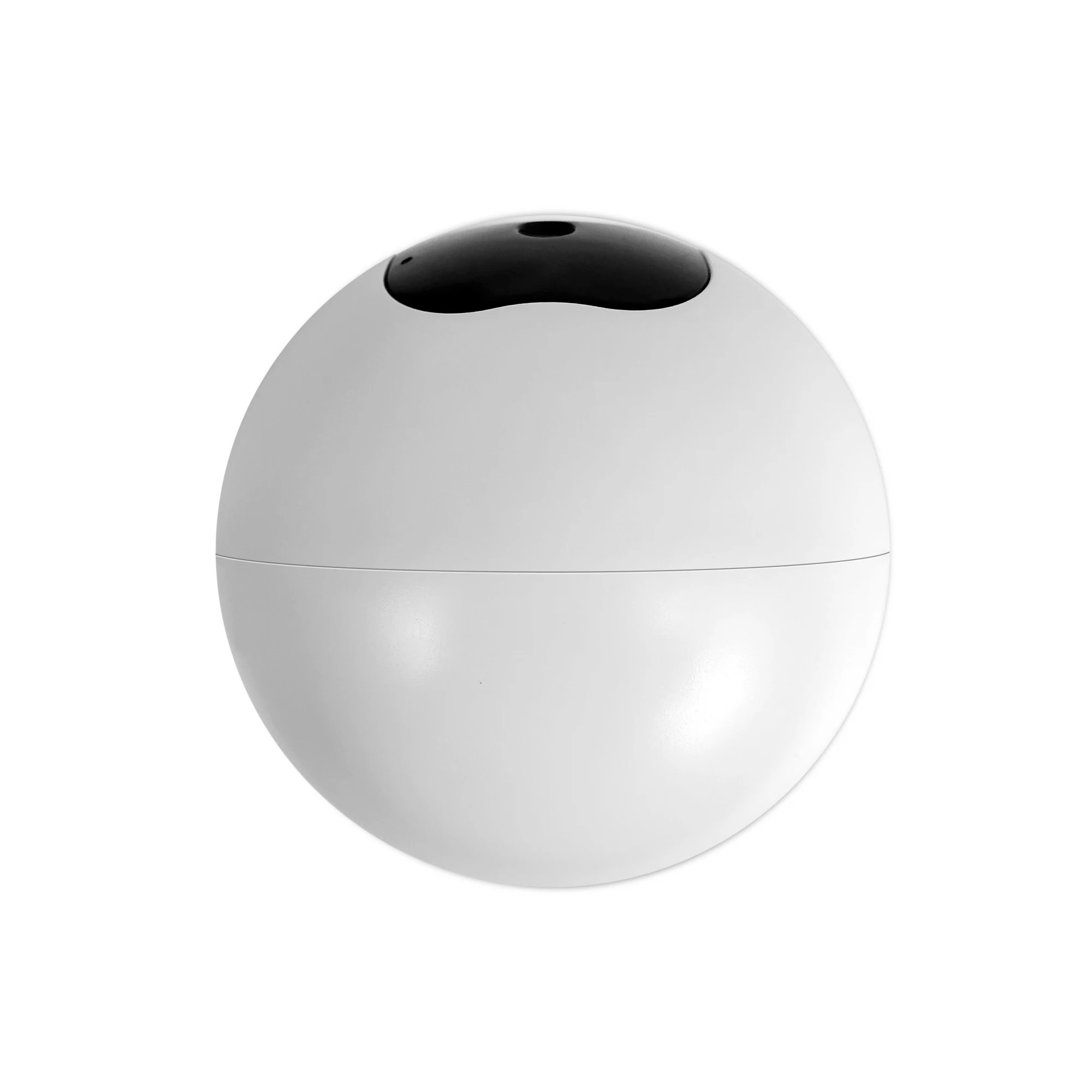 Рисунок 4 - IP-камера Sricam SH038 HD