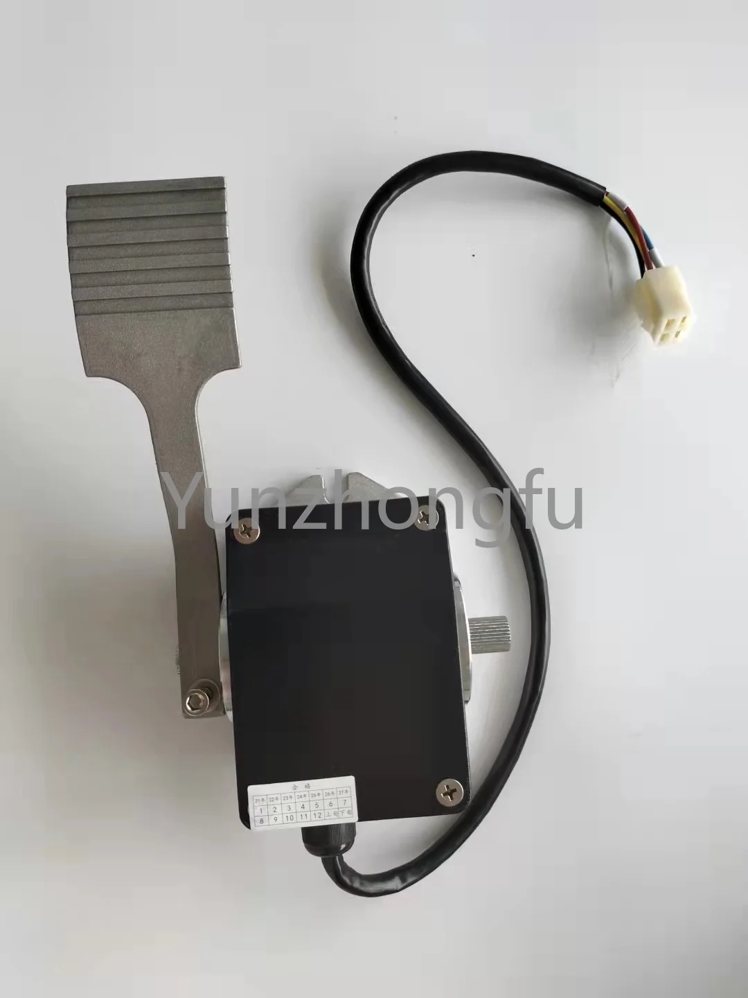 Рисунок 3 - Электрический автомобильный ускоритель