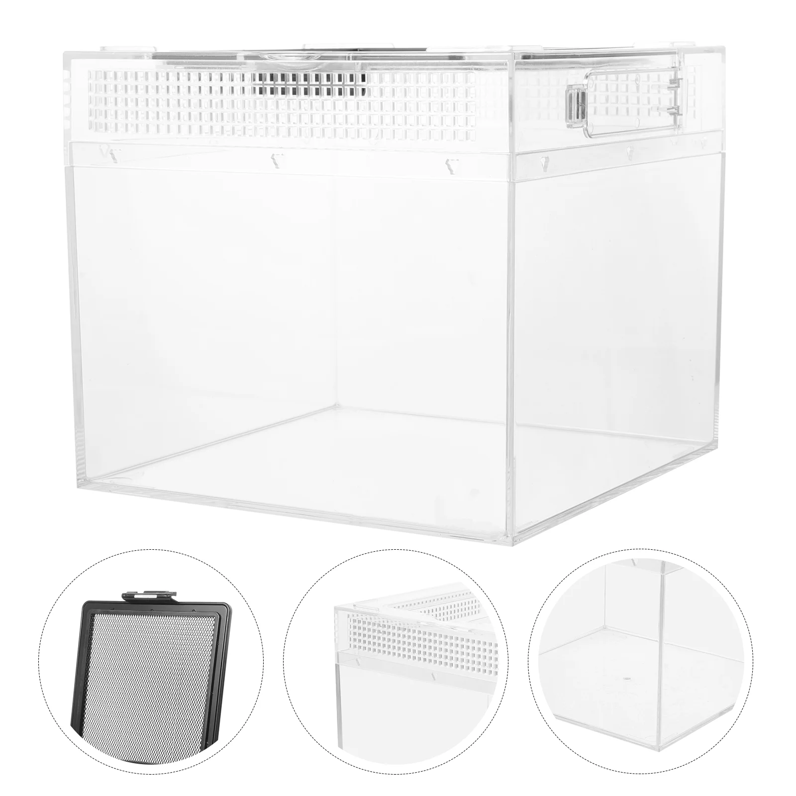 

Transparent Reptile Box Turtle Terrarium Practical Incubator Enclosure Tank Feeding Spider Bin Reptiles Creative Vivarium