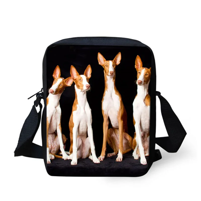 

Funny 3D Dog Ibizan Hound Print Women Messenger Bag Kids School Bags Children Student Mini Crossbody Bags Women Cross Body Bag